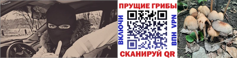 сколько стоит  Белая Калитва  Галлюциногенные грибы мухоморы 